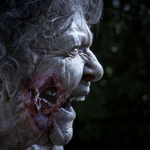 Bilder What We Become