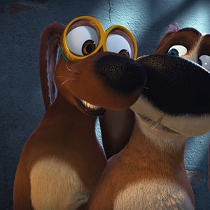 Bilder Ozzy - Ein Held auf vier Pfoten