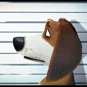 Bilder Ozzy - Ein Held auf vier Pfoten