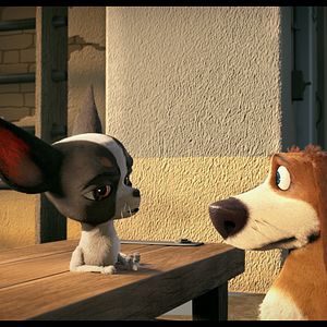 Bilder Ozzy - Ein Held auf vier Pfoten