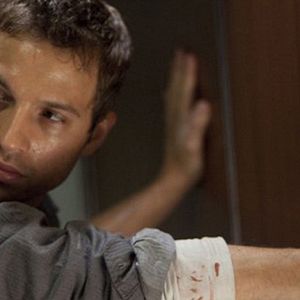 Bilder Black Dog, Red Dog