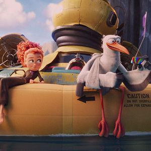 Bilder Störche - Abenteuer im Anflug