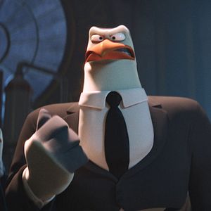 Bilder Störche - Abenteuer im Anflug