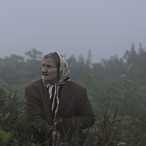 Bilder Cold Of Kalandar