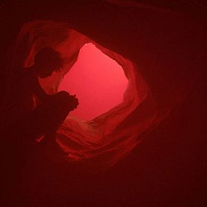 Bilder We Are The Flesh