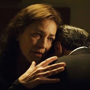 Bilder Stefano Dionisi