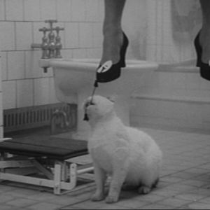 Bilder Der Leichenverbrenner