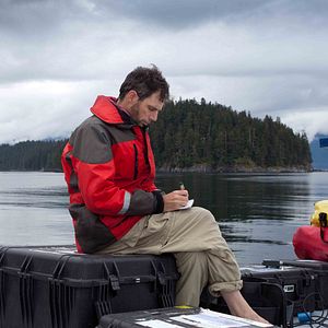 Bilder Humpback Whales - Buckelwale im Pazifik