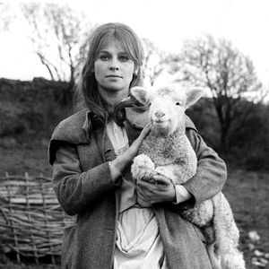 Bilder Die Herrin von Thornhill