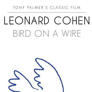 Bilder Bird on a Wire