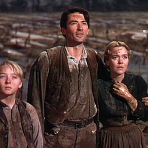 Bilder Die Wildnis ruft