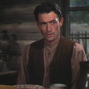 Bilder Die Wildnis ruft