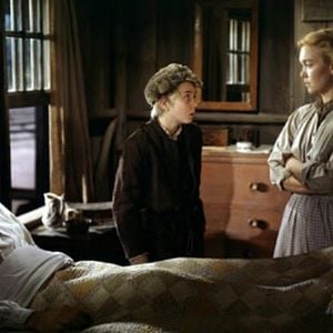 Bilder Die Wildnis ruft