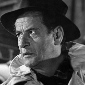 Bilder Der Tiger schlägt zurück