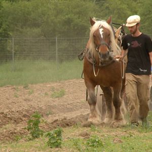 Bilder Worauf warten wir noch?
