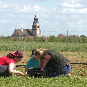 Bilder Worauf warten wir noch?