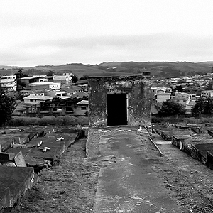 Bilder Holocausto Brasileiro