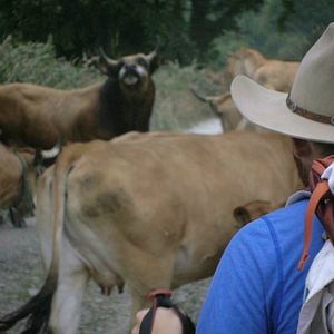 Bilder Footprints: The Path of Your Life