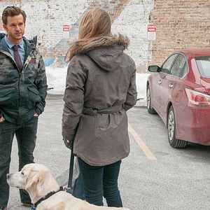 Bilder Alicia Silverstone