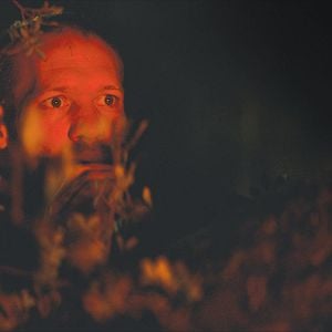 Bilder Der Ornithologe