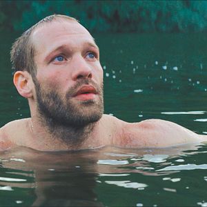 Bilder Der Ornithologe