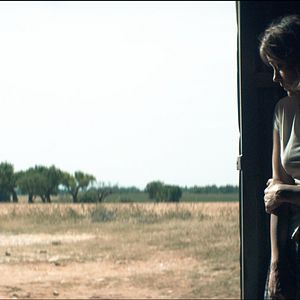 Bilder Marion Cotillard