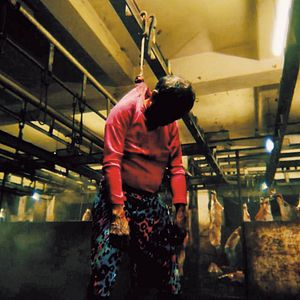 Bilder Alipato - The Very Brief Life Of An Ember