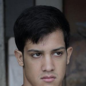 Bilder Rafael Florea