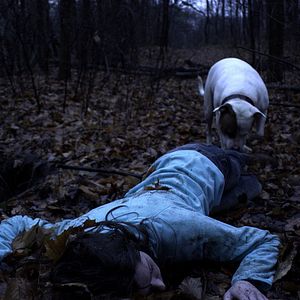 Bilder Sex Killer - Lust. Mord. Wahnsinn.