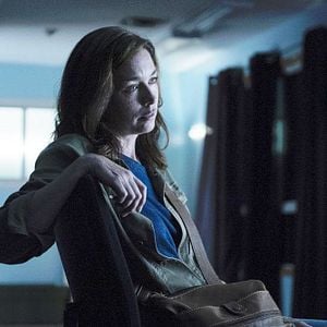 Bilder Julianne Nicholson