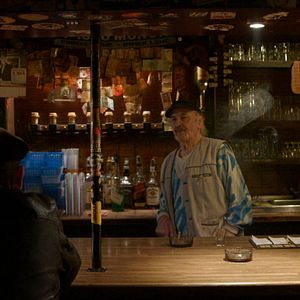 Bilder Manche hatten Krokodile