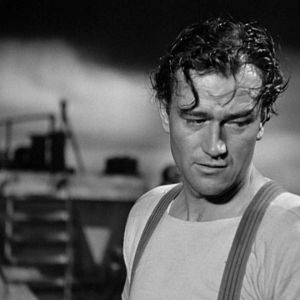 Bilder Der lange Weg nach Cardiff