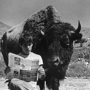 Bilder Denkt bloß nicht, daß wir heulen