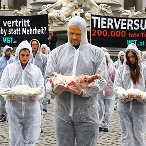 Bilder Im Namen der Tiere