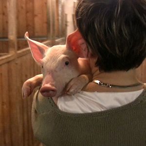 Bilder Im Namen der Tiere