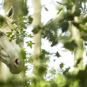 Bilder Wendy - Der Film