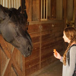 Bilder Für immer beste Freunde