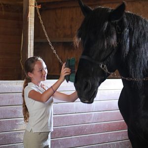 Bilder Für immer beste Freunde