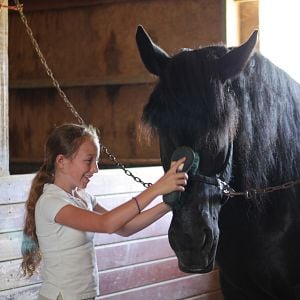 Bilder Für immer beste Freunde