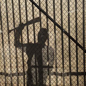 Bilder The Walking Dead