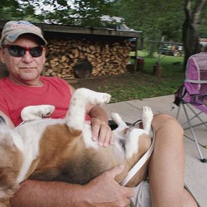 Bilder Wovon träumt das Internet?