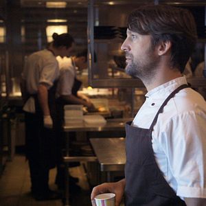 Bilder Ants on a Shrimp