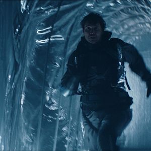 Bilder Synchronicity