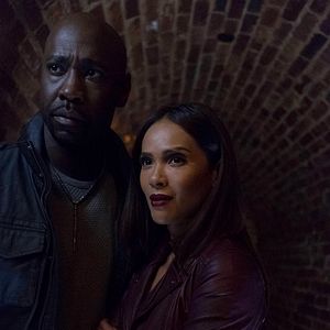 Bilder Lesley-Ann Brandt