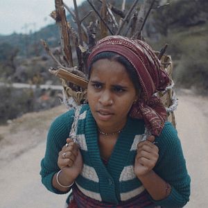 Bilder Where to, Miss?