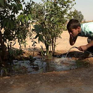 Bilder Nicht ohne uns!