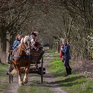 Bilder Anton Spieker