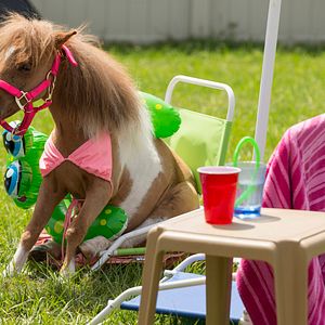 Bilder Apple Of My Eye - Schutzengel brauchen keine Flügel