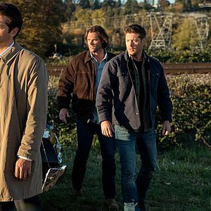 Bilder Misha Collins