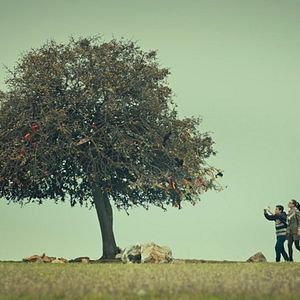 Bilder Kırıntılar